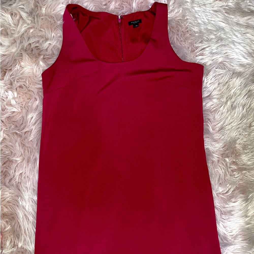 Ann Taylor Factory cranberry dress size 10